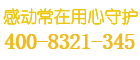 威斯盾保险柜